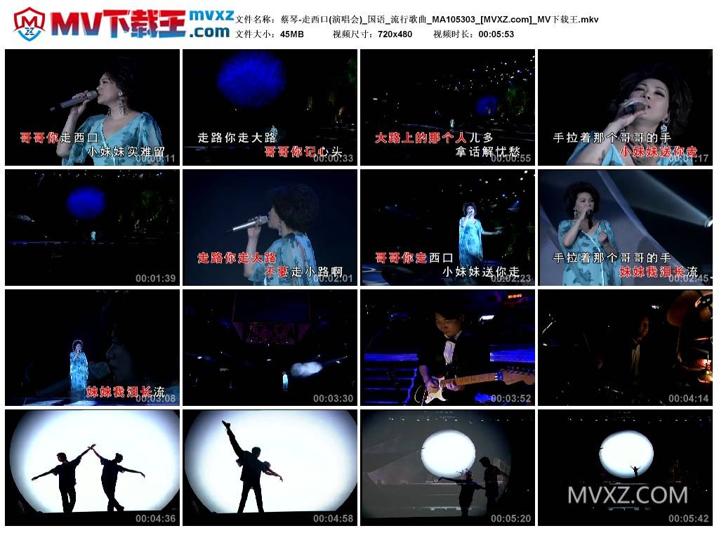 蔡琴-走西口(演唱会)_国语_流行歌曲_MA105303